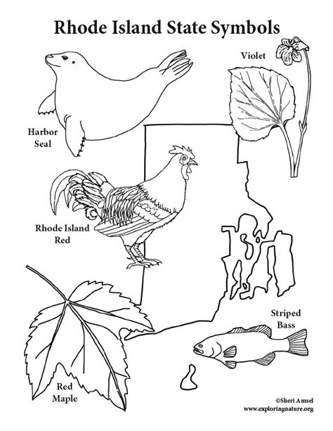 Rhode Island State Symbols Coloring Page