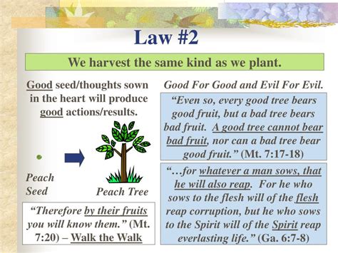 Ppt Seven Laws Of The Harvest Powerpoint Presentation Free Download