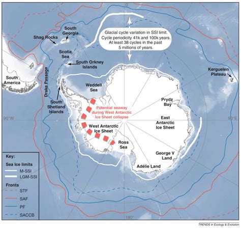 Southern Ocean Diversity New Paradigms From Molecular Ecology Trends