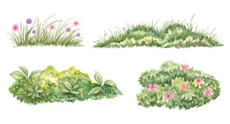 Premium Vector Set Of Watercolor Hand Painted Green Grass Collection