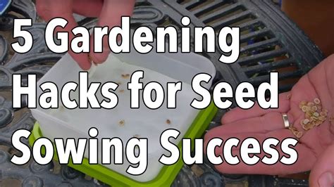 5 gardening hacks for seed sowing success youtube