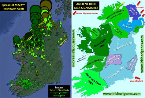 The Spread Of M222 Irish Origenes Use Your Dna To Rediscover Your Irish Origin