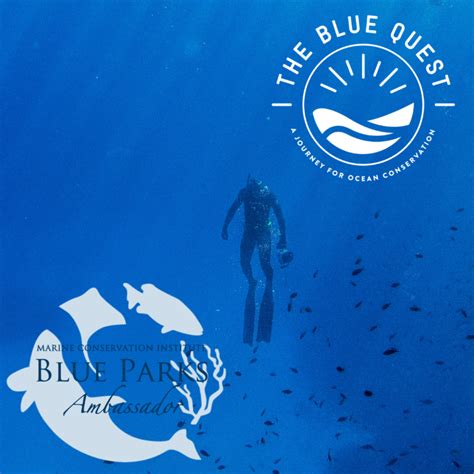 Nouvel Ambassadeur Marine Conservation Institute The Blue Quest