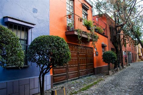 Colorful Hispanic Houses And Beautiful Bushes In Mexico City Stock