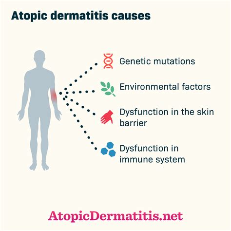 What Can Cause Dermatitis