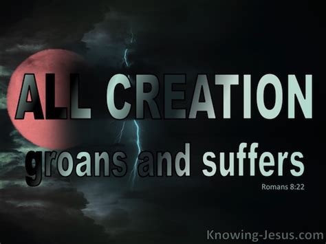 Romans 822 For We Know That The Whole Creation Groans And Suffers The