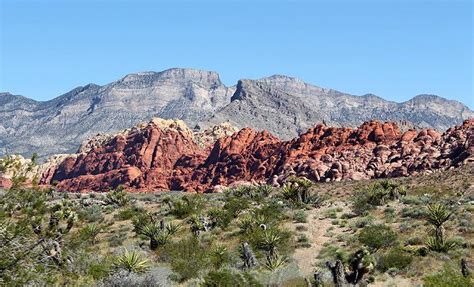 7 Top Rated Hikes In Red Rock Canyon National Conservation Area