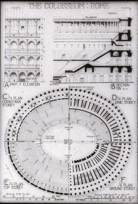 Roman Coliseum Floor Plan