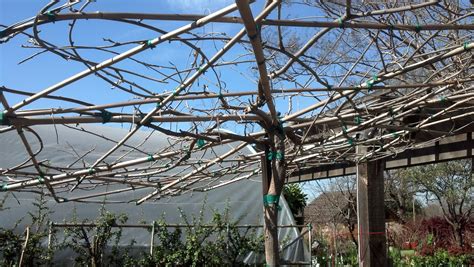 Umbrella Trellis Made With Bamboo Secret Garden Summer Outdoor Outdoor