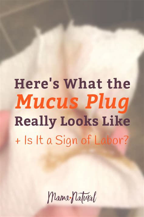 Mucus Plug Does Labor Start When You Lose It Photos