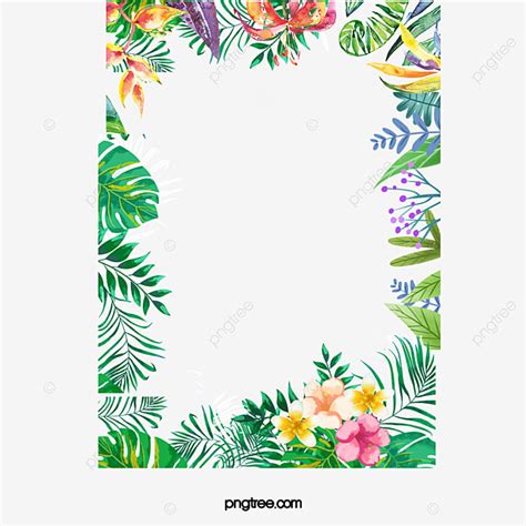 Hand Painted Plants Png Picture Hand Painted Colorful Plant Borders