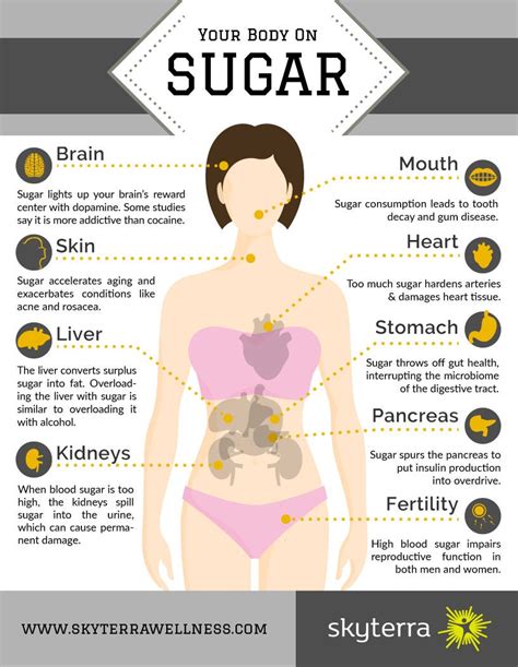 Your Body On Sugar An Infographic Examining System Wide Effects