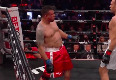 kubrat pulev smashes frank mir gets round one stoppage at first triller triad event ny fights
