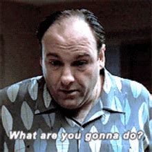 The Sopranos Tony Soprano The Sopranos Tony Soprano What Are You