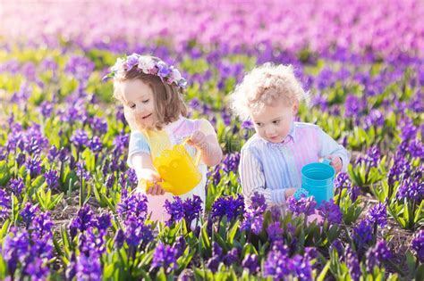 Kids Plant And Water Flowers In Spring Garden Stock Image