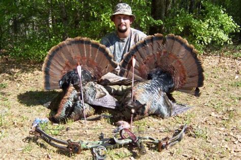 Doubled On Turkeys With The Hoyt Archery Talk Forum