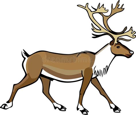Caribou Clip Art 20 Free Cliparts Download Images On Clipground 2023