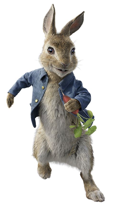 Peter Rabbit Png Png Image Collection