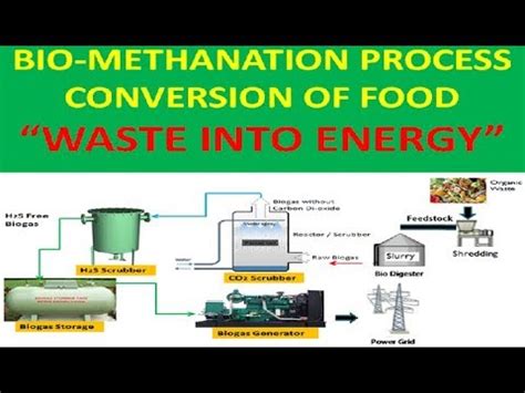 Working Of Waste To Energy WTE Plants How Organic Waste Convert
