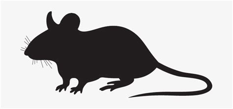 Rat Silhouette Png Mouse Silhouette Png Image Transparent Png Free