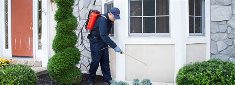 Pest definition, an annoying or troublesome person, animal, or thing; Pest Control Locations Near You | Ehrlich Pest Control