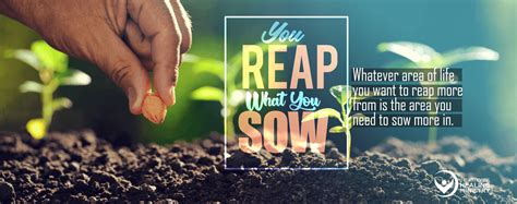We Reap What We Sow John Attiogbe Healing Ministry