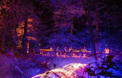 Nfl Web Header Image Forest Light American Art Nighttime Walking