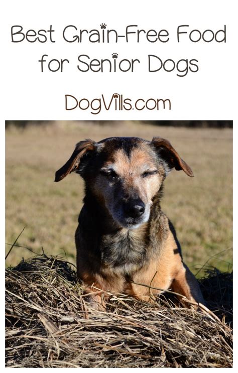 Senior Dog Food Going Grain Free With Confidence Dogvills