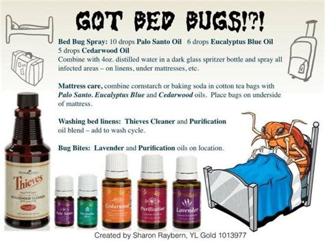 You can apply it to the skin right before you head outdoors where it will help keep bugs at bay while also smelling fantastic. Bed Bugs | Essential oils | Pinterest | Bed bug control ...