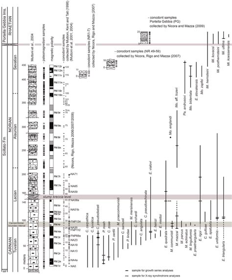 Stratigraphic Log And Conodont Biostratigraphy Of The Upper