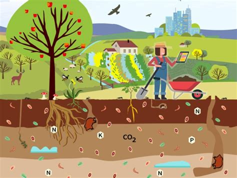 Soil Health Reaping The Benefits Of Healthy Soils For Food People