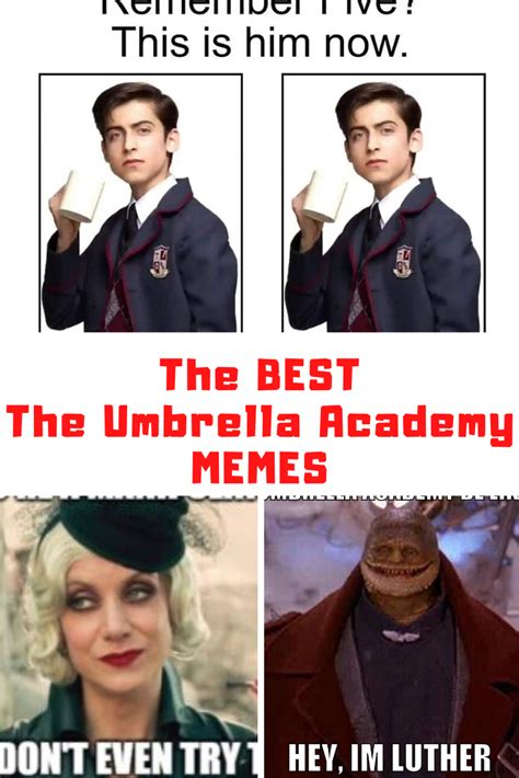 'the umbrella academy's 2nd season is a meme goldmine. The BEST The Umbrella Academy Memes On The Internet