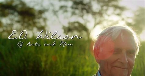 Arizona Pbs Previews Eo Wilson Of Ants And Men Pbs