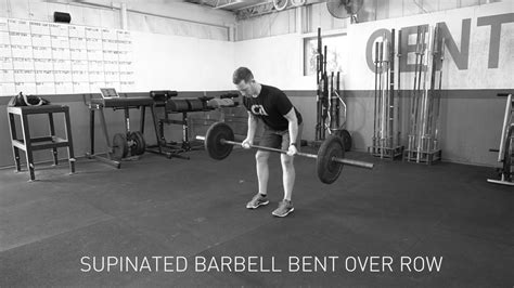 Supinated Barbell Bent Over Row Youtube