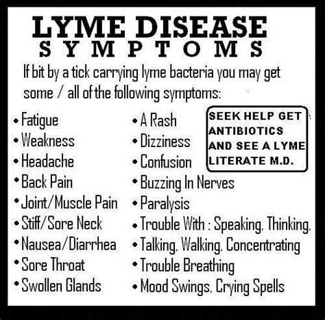 Never Bothered To Really Educate Myself On Lyme Disease Until I Was