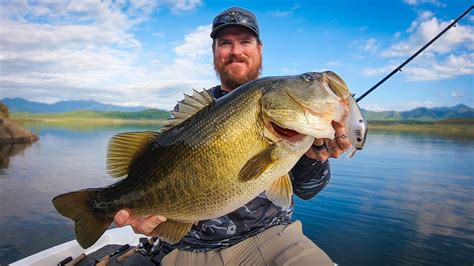 Giant Bass Everywhere Incredible Bass Fishing On Lake Baccarac Youtube