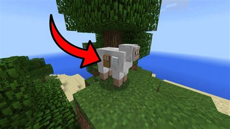 ▬▬▬▬▬▬▬▬▬▬▬▬▬ ✅ research how to live inside an enderman in minecraft! How to Live Inside a Sheep in MCPE (Minecraft PE, PS4/3 ...
