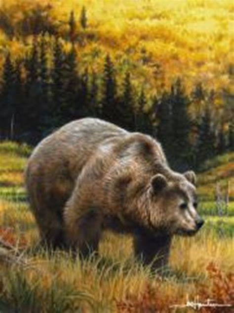 The fabrics used are a special type of plush fabric that is similar to fleece but softer and thicker. Grizzly Super Plush Throw Hautman Bros. 60 x 80 The ...