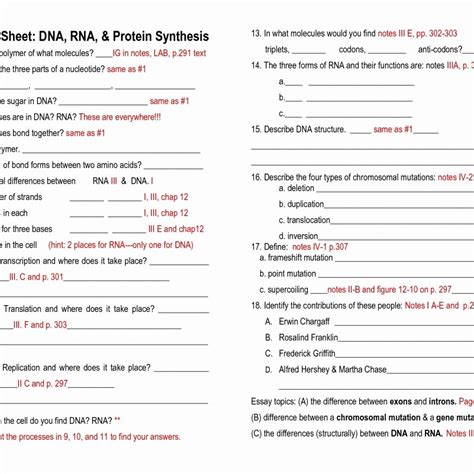 1 scientific principles not taken. Dna Rna And Protein Synthesis Worksheets Answer Key