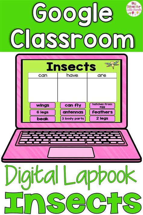Your Students Will Love Learning About Bugs And Insects With This