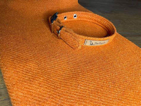 Plain Orange Harris Tweed Collar - Buckle » The Dog Company