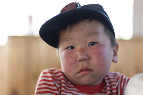 Portrait Of A Mongolian Boy Copyright Free Photo By M Vorel