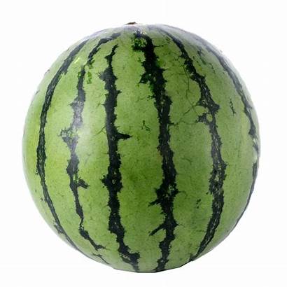 Watermelon Transparent Singles Seedless Walmart