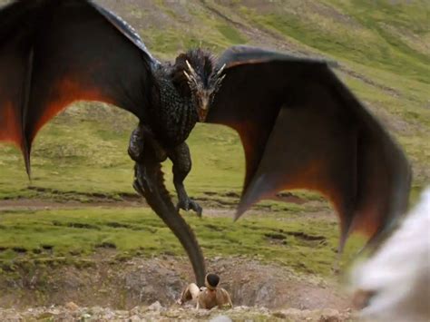 Top 999 Real Dragon Images Amazing Collection Real Dragon Images Full 4k