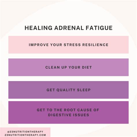 Adrenal Fatigue Recovery Your Quick Guide To Adrenal Fatigue 23