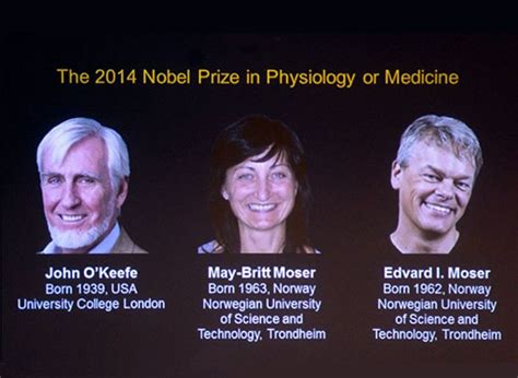 Otorgaron El Nobel De Medicina A Los Cientí­ficos Que Descubrieron El Gps Del Cerebro