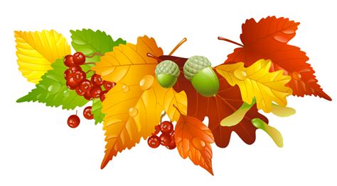 Autumn Leaves And Acorns Decor Png Picture Gallery Yopriceville