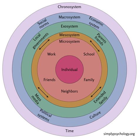 Bronfenbrenner S Ecological Systems Theory Real Life Examples Bronfenbrenner S Bioecological