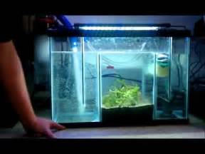 60 gallon saltwater reef setup with refugium YouTube