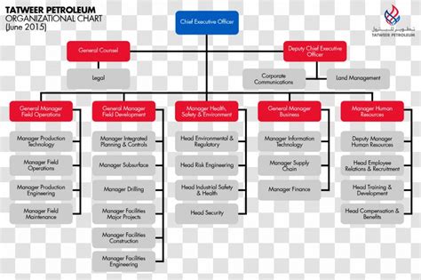 Organizational Chart Structure Supply Chain Operations Management